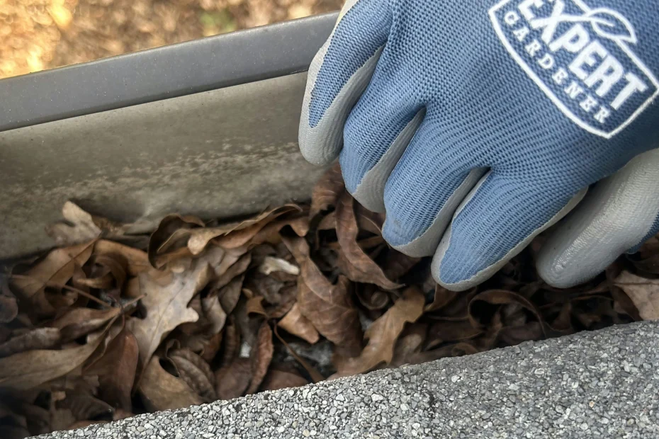 Gutter Cleaning Maplewood, MO