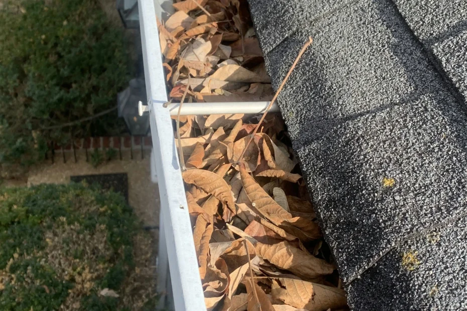 Gutter Cleaning Maplewood, MO